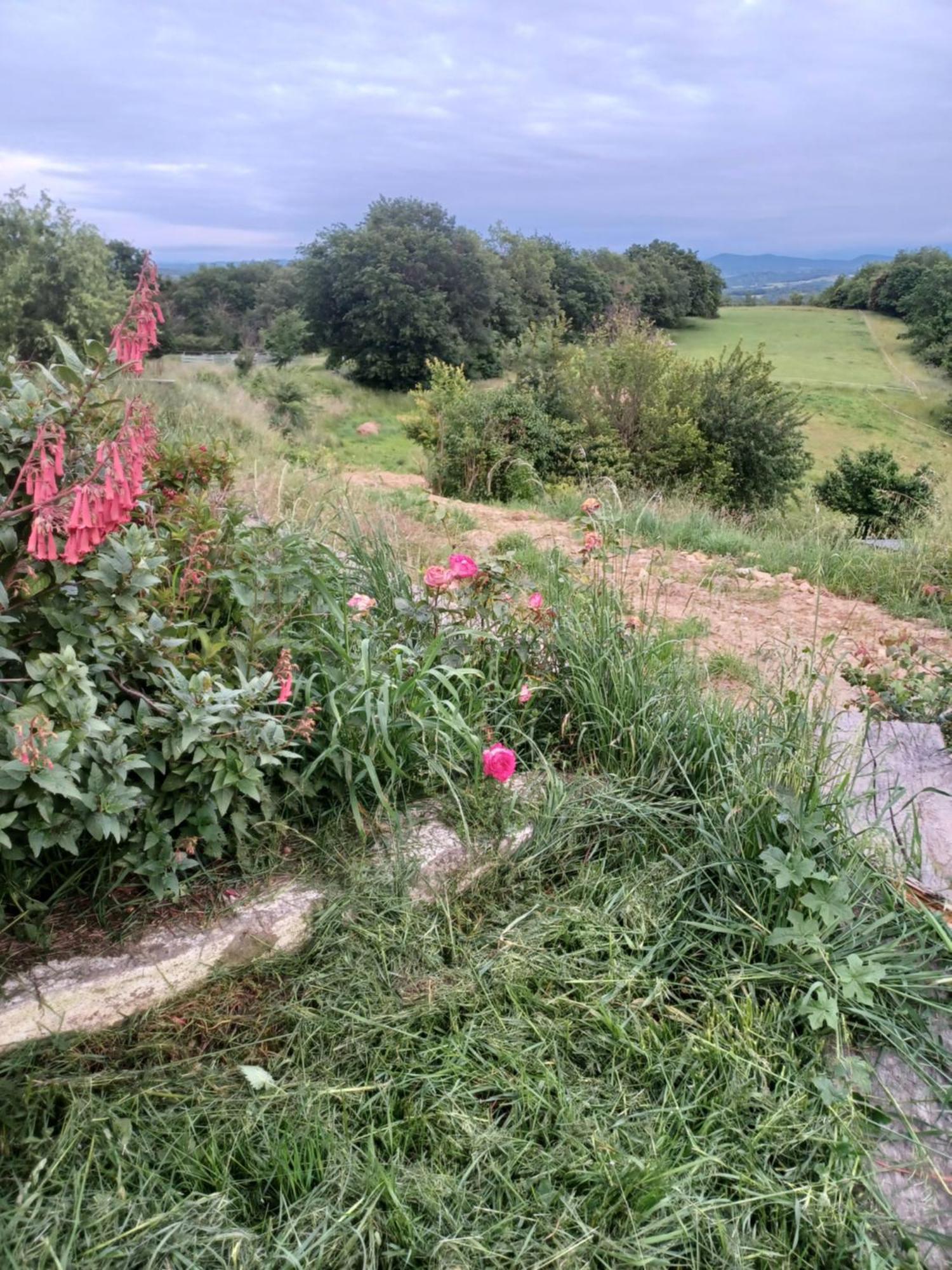 La Biste Villa Mirepoix  Ngoại thất bức ảnh